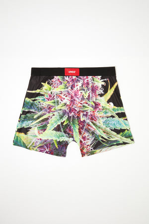 UNDZ Mens Purple Kush Boxer Brief