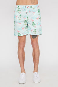 Zoo York Mens Flamingo Board Shorts