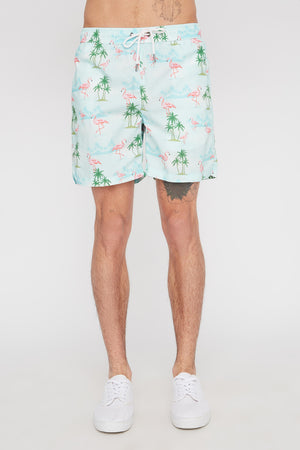 Zoo York Mens Flamingo Board Shorts