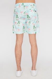 Zoo York Mens Flamingo Board Shorts