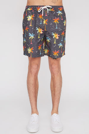 Zoo York Mens Graphic Pull-On Beach Shorts