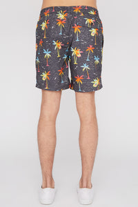 Zoo York Mens Graphic Pull-On Beach Shorts