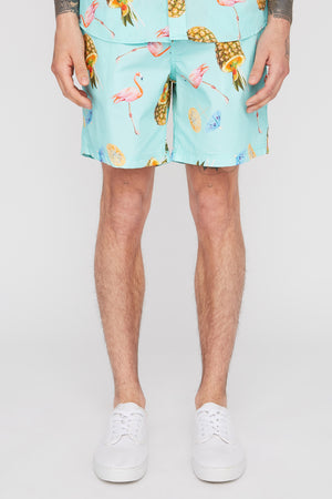 Zoo York Mens Graphic Pull-On Beach Shorts