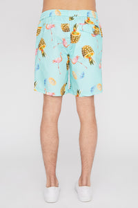 Zoo York Mens Graphic Pull-On Beach Shorts