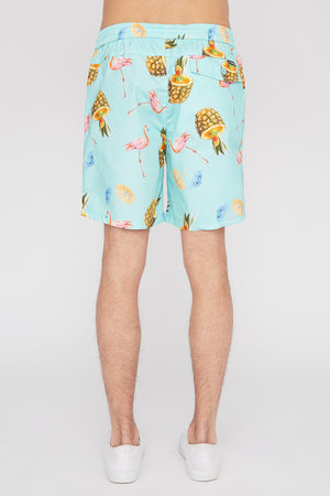 Zoo York Mens Graphic Pull-On Beach Shorts