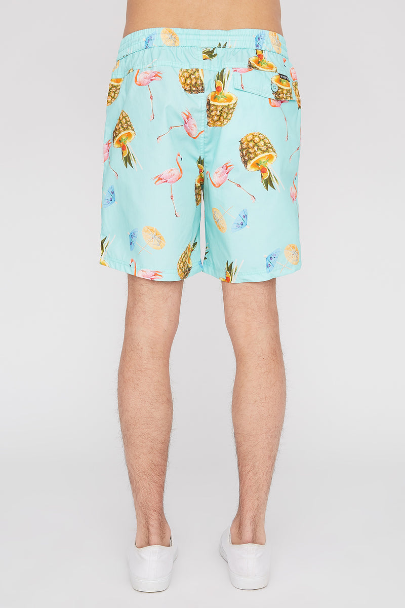 Zoo York Mens Graphic Pull-On Beach Shorts