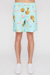 Zoo York Mens Graphic Pull-On Beach Shorts