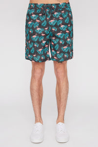 West49 Mens Fun Graphic Pull-On Beach Shorts