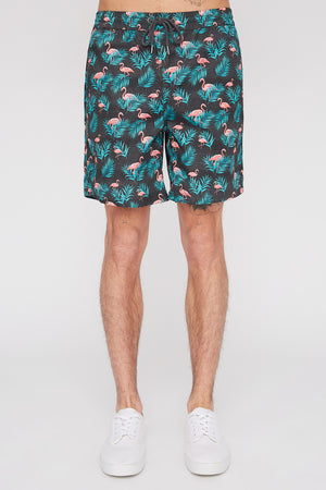 West49 Mens Fun Graphic Pull-On Beach Shorts