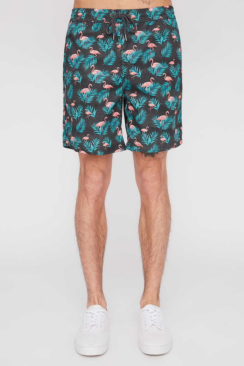 West49 Mens Fun Graphic Pull-On Beach Shorts