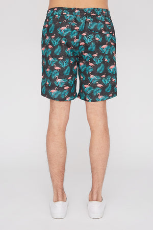 West49 Mens Fun Graphic Pull-On Beach Shorts