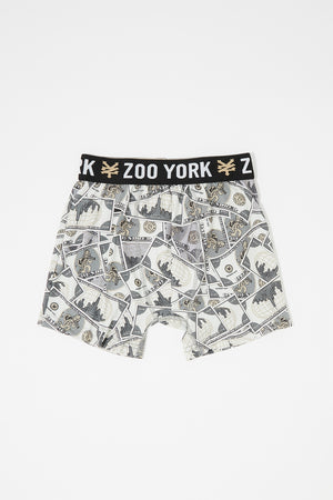 Zoo York Mens Money Boxer Brief