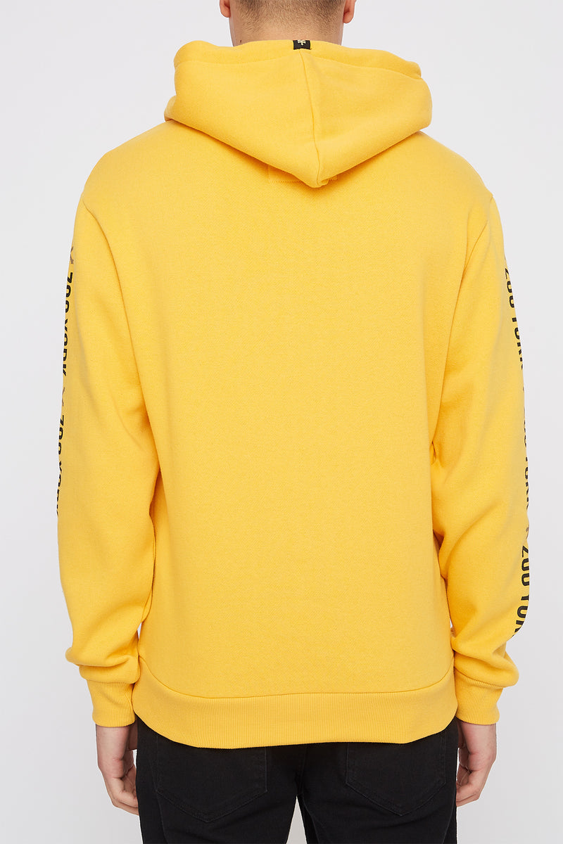 Zoo York Mens Box Logo Hoodie