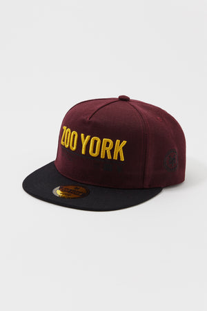 Zoo York Mens 3D Embroidered Logo Hat