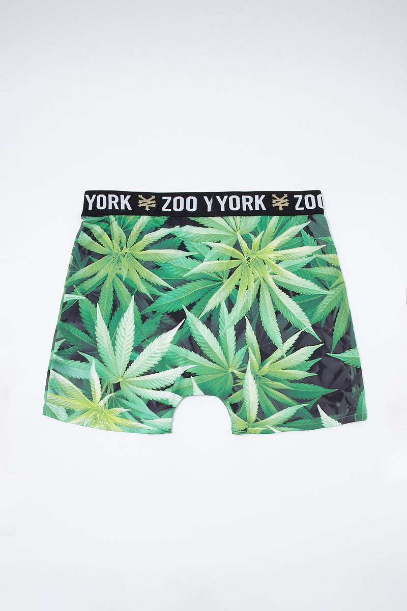 Zoo York Mens Leaf Boxer Brief