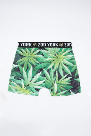 Zoo York Mens Leaf Boxer Brief