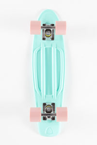 Pastel Cruisers - 22"